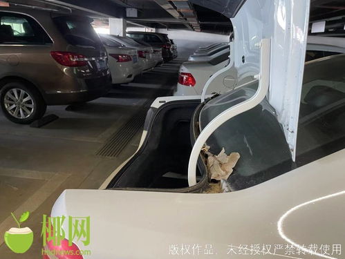 商报调查 海口汽车租赁市场存隐忧 车辆卫生差与监管真空亟待填补
